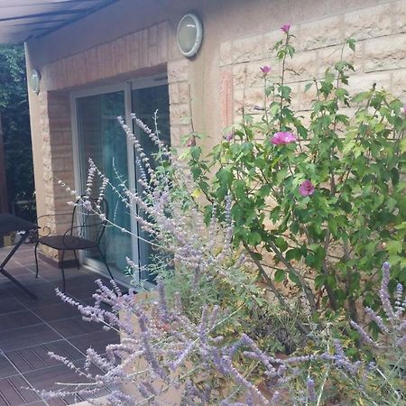 La Villa Des Violettes Tuluza Zewnętrze zdjęcie