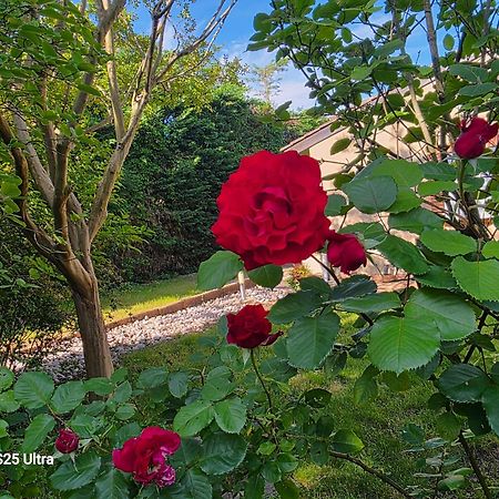 La Villa Des Violettes Tuluza Zewnętrze zdjęcie