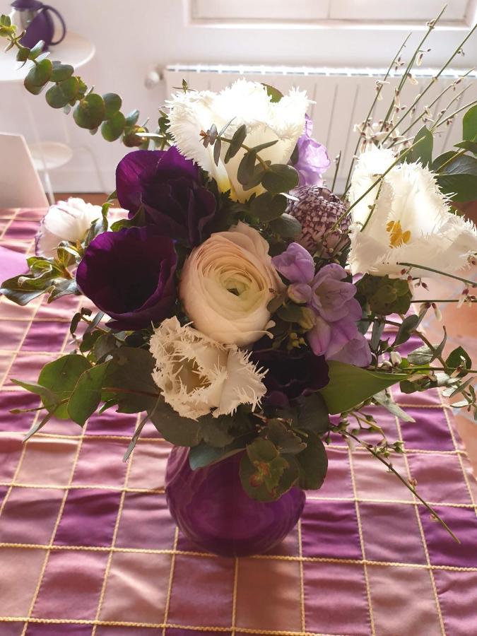 La Villa Des Violettes Tuluza Zewnętrze zdjęcie