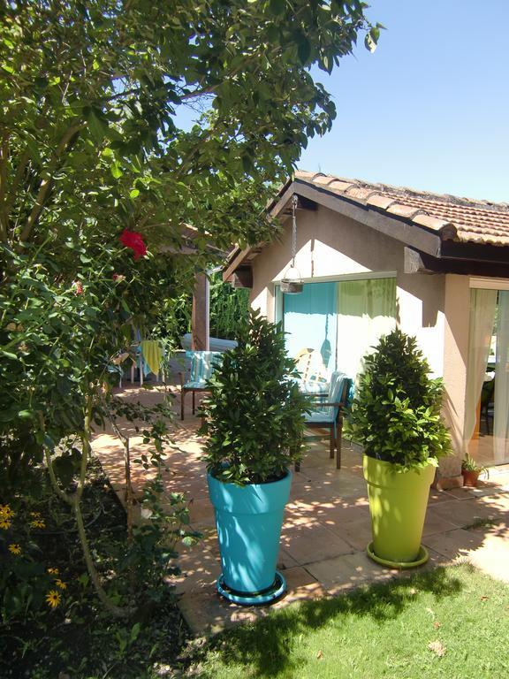 La Villa Des Violettes Tuluza Zewnętrze zdjęcie