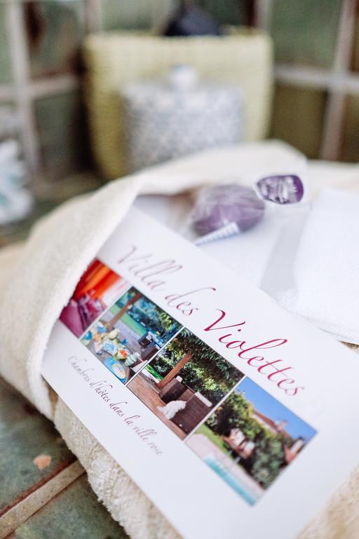 La Villa Des Violettes Tuluza Zewnętrze zdjęcie