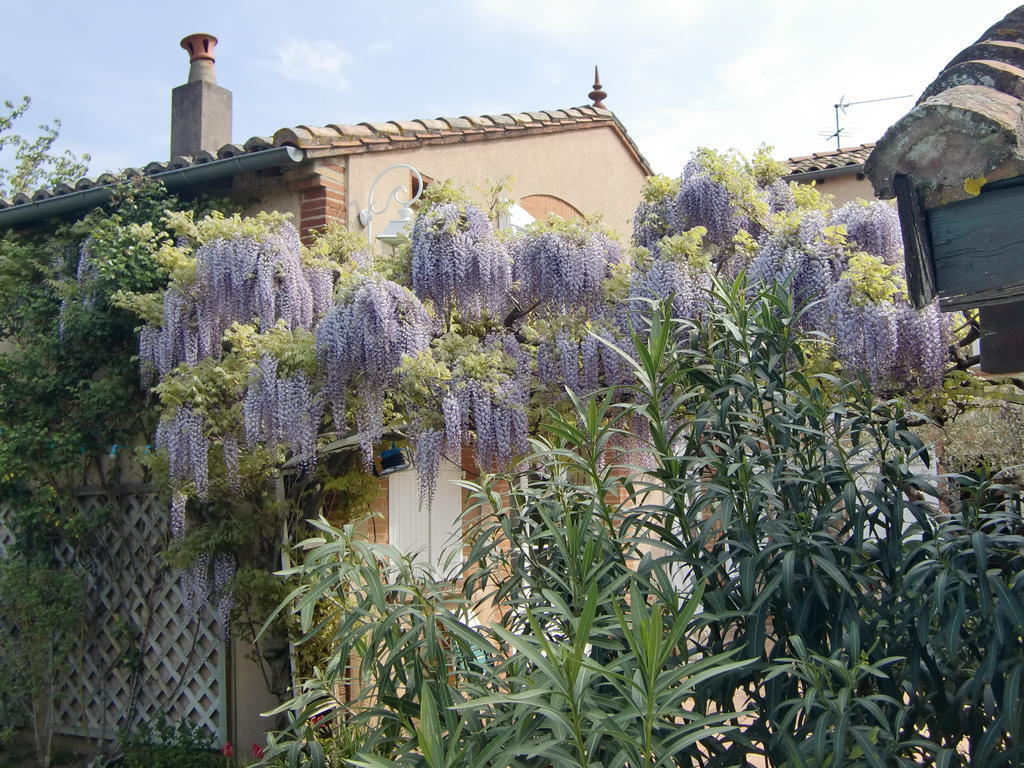 La Villa Des Violettes Tuluza Zewnętrze zdjęcie