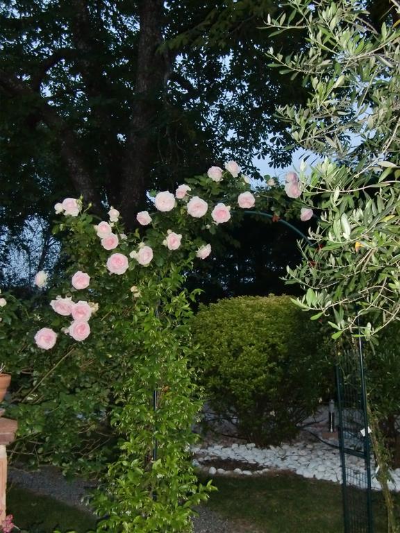 La Villa Des Violettes Tuluza Zewnętrze zdjęcie