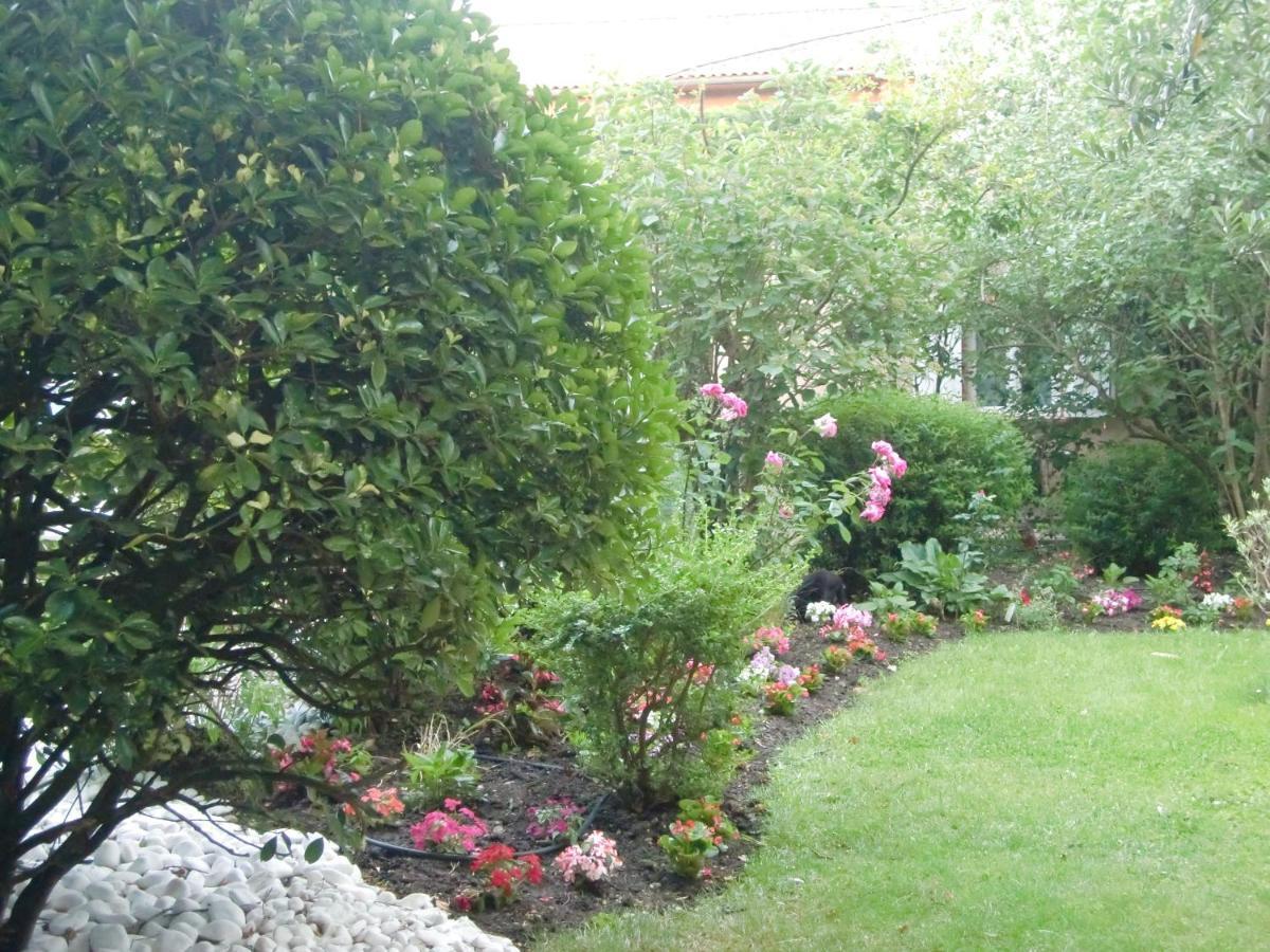La Villa Des Violettes Tuluza Zewnętrze zdjęcie